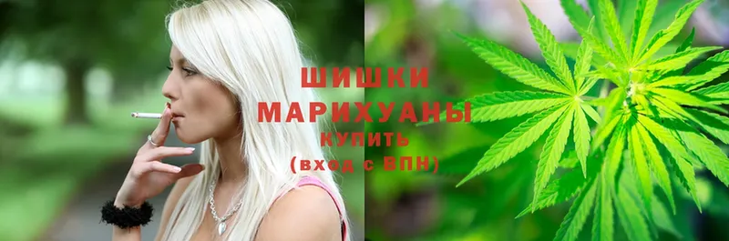 купить наркотик  Куртамыш  Шишки марихуана THC 21% 